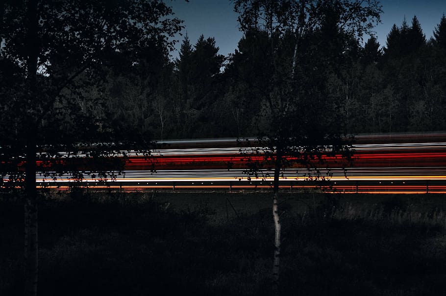 time-lapse photography, trees, road, lights, dark, sky, way HD wallpaper