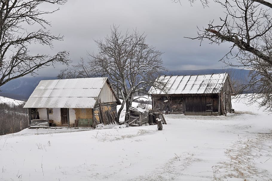 winter, snow, barn, house, wood, nature, cold temperature, built structure HD wallpaper