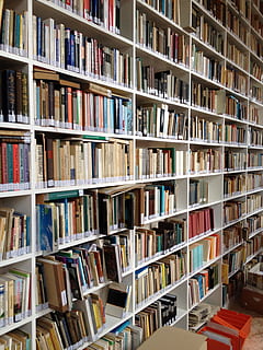 Book, Shelf, Library, Books, Read, education, bookshelf, bookcase HD wallpaper