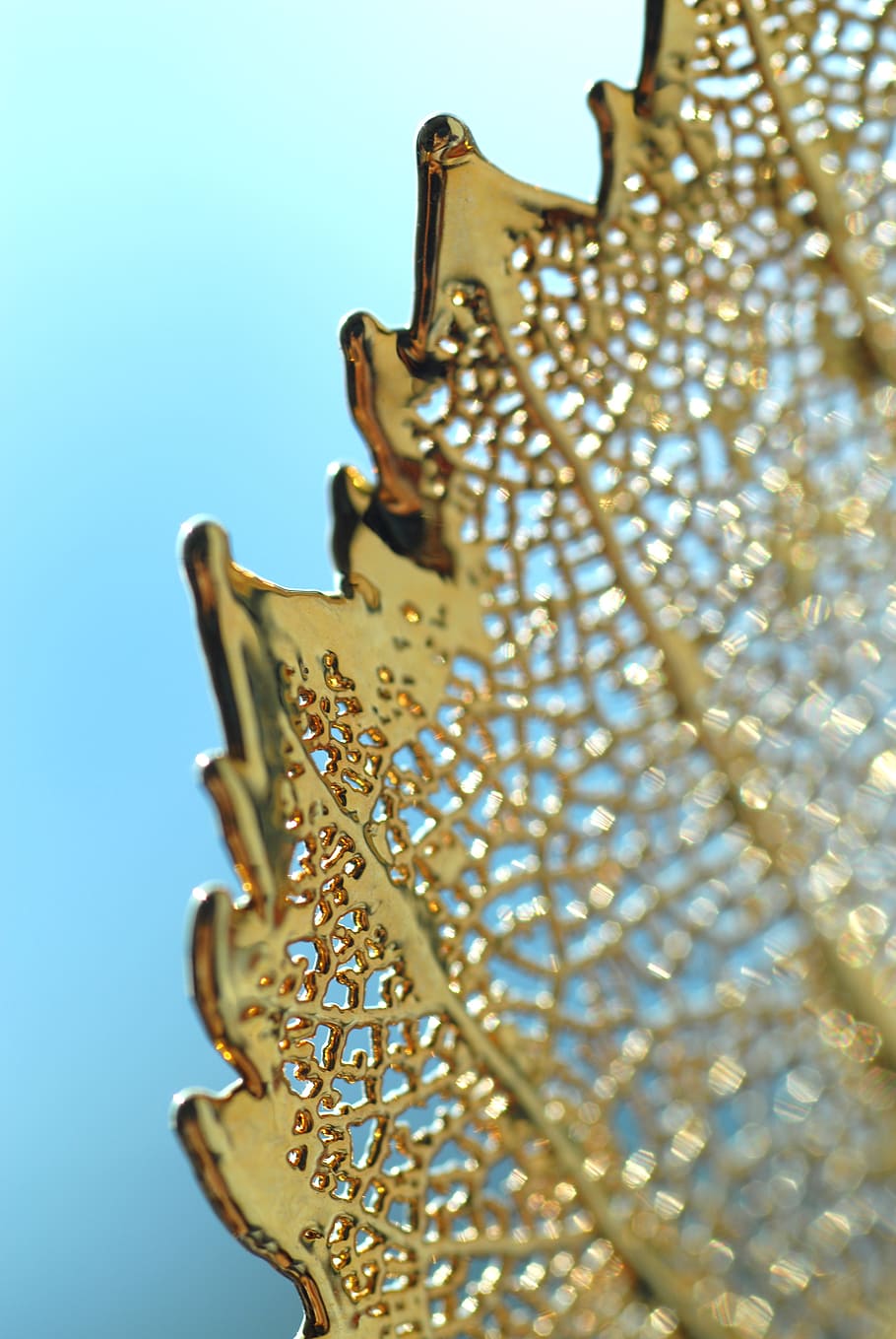 gold, leaf, fragile, design, nature, golden, foliage, texture HD wallpaper