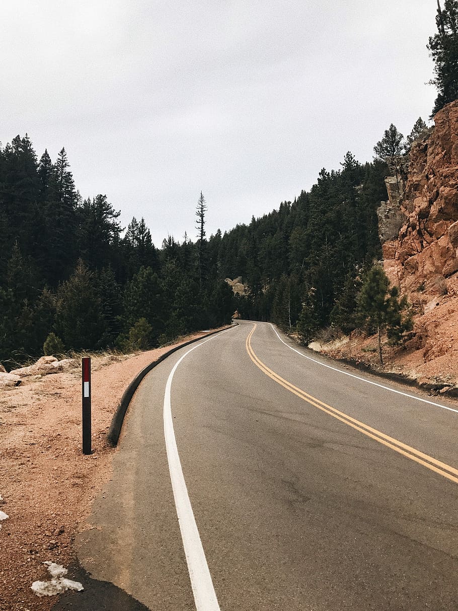 road in mountain with green trees, clear road, forest, pine, curve HD wallpaper