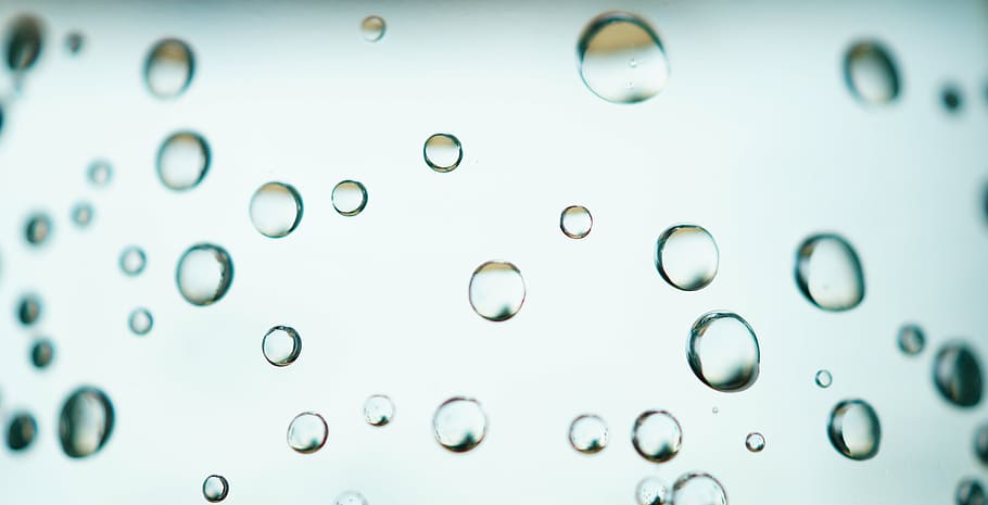 bubbles, clear, dew, droplets, drops, drops of water, liquid HD wallpaper