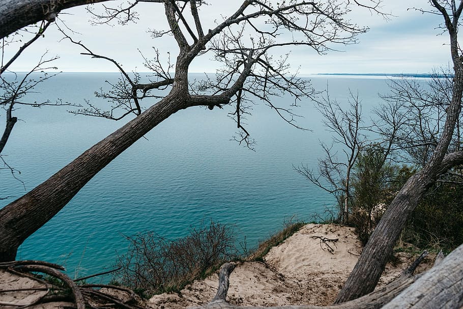 coast, shore, cliff, trees, water, sea, ocean, vegetation, sand HD wallpaper