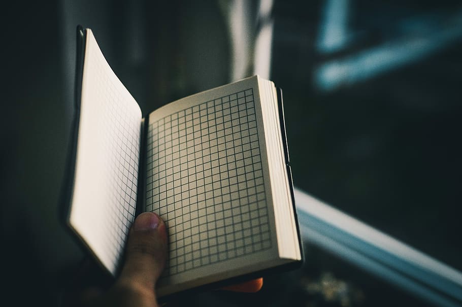 person showing a white page book, person holding graphing notebook HD wallpaper