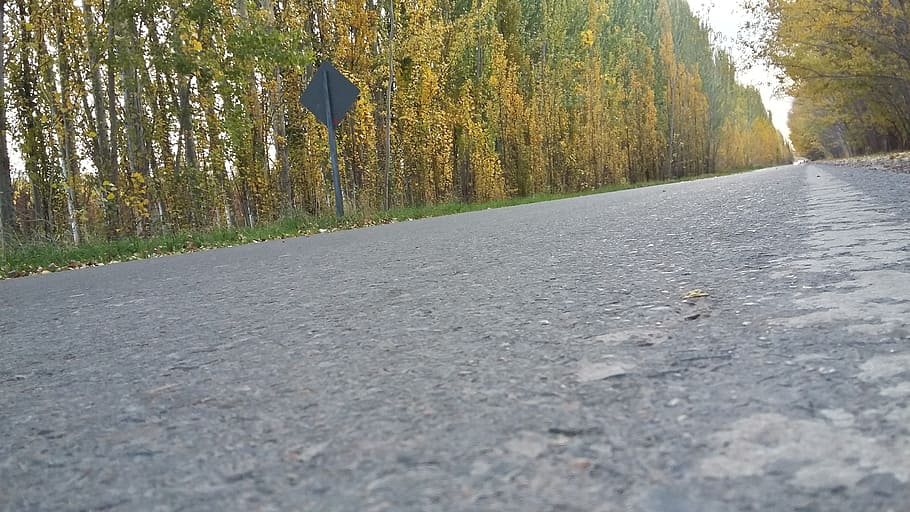 path, route, trail, landscape, nature, walk, rural road, mountain HD wallpaper