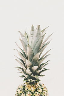 pineapple fruit, dessert, appetizer, juice, crop, studio shot HD wallpaper