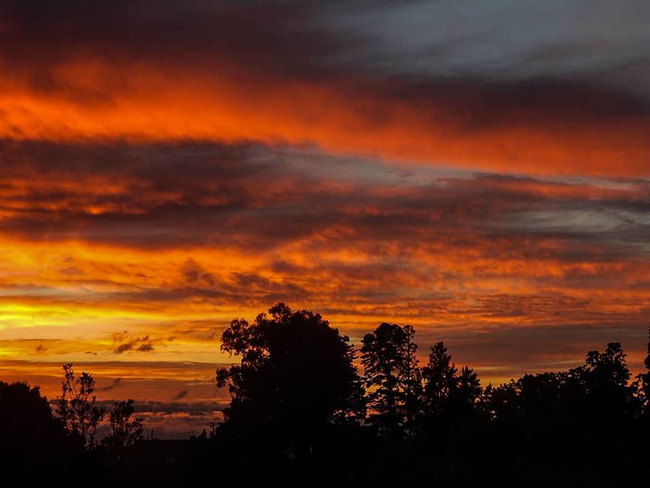 clouds, red, sunset, twilight, tree, cloud - sky, scenics - nature HD wallpaper