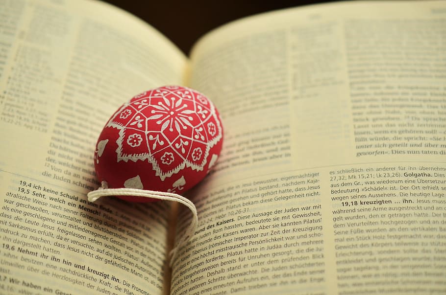pink and white floral egg book end on opened book, easter egg