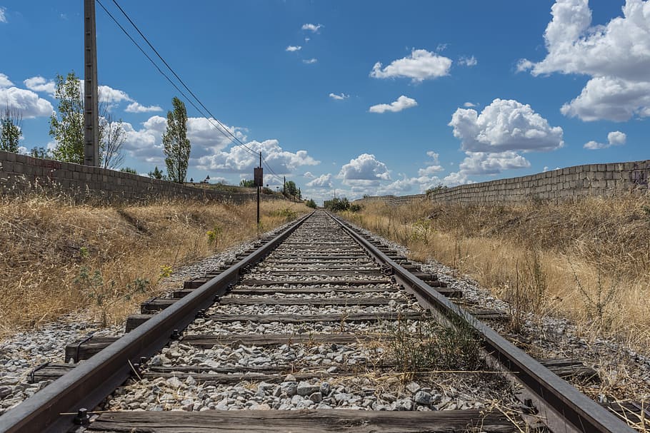 black and gray railway between brown grasses under clear blue sky during daytime HD wallpaper