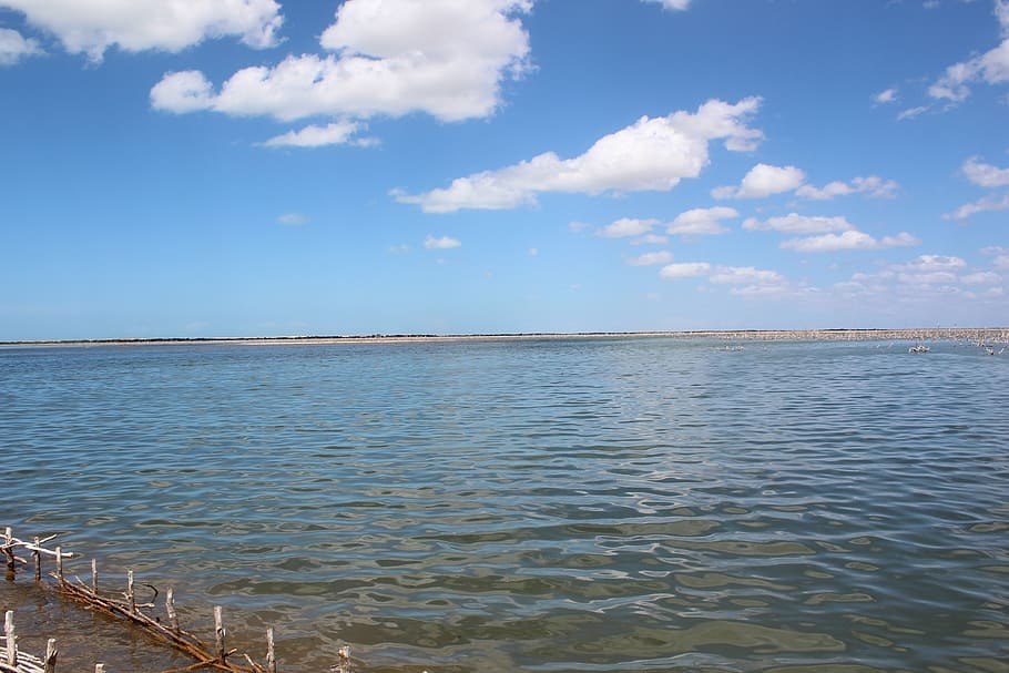 mar, sea, sky, blue, beach, agua, salt, water, beauty in nature HD wallpaper