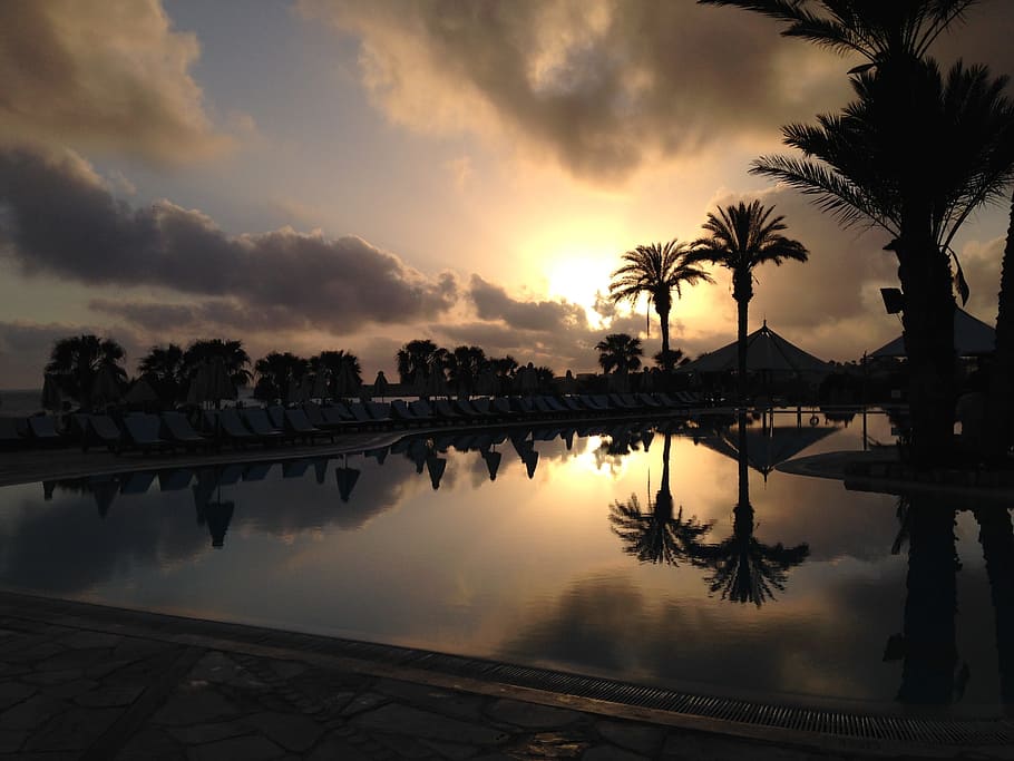 paradise, palm trees, pool, exotic, water, sunny, vacation HD wallpaper