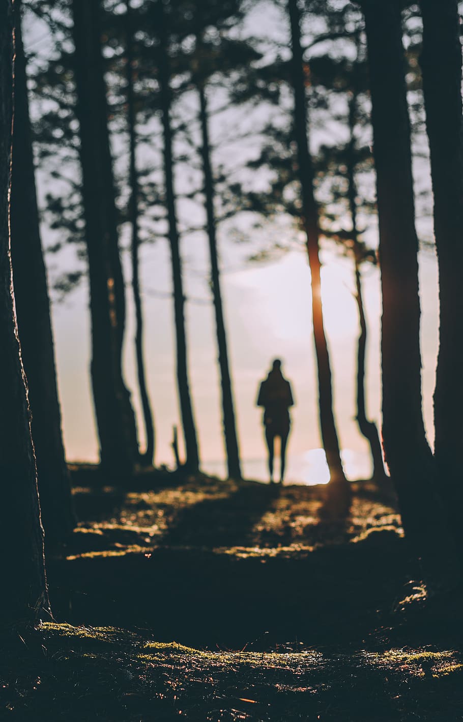 silhouette of person standing near body of water during daytime, photography of person on forest HD wallpaper