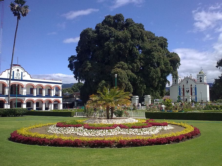 building, structure, architecture, tree, sky, clouds, santa maria de tule HD wallpaper