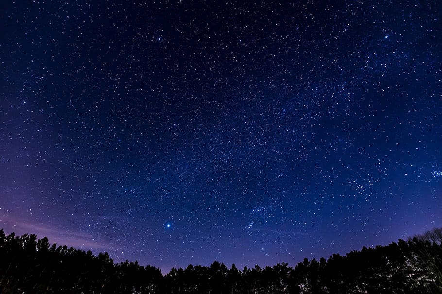 stars in the sky above silhouette of trees, galaxy photo, nighttime HD wallpaper