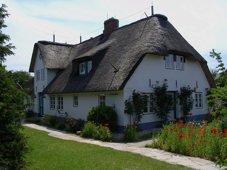 friesenhaus, thatched roof, föhr, northern germany, island, HD wallpaper