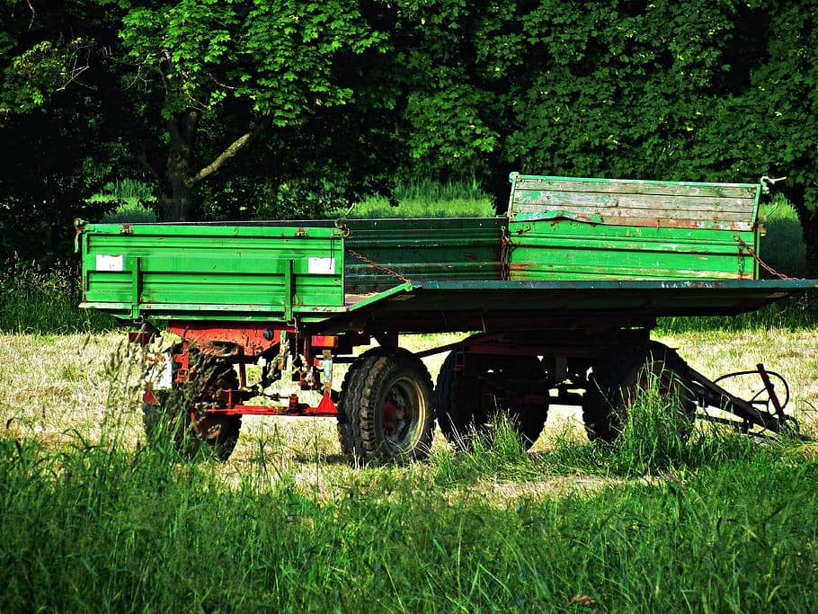 tractor, trailer, field, grass, village, plant, land, transportation HD wallpaper