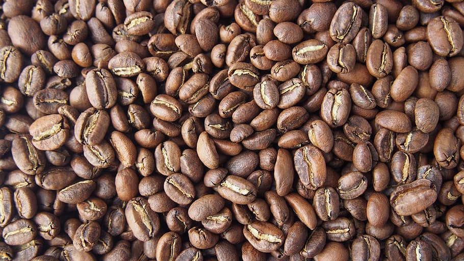 Coffee Bean, Brewed Coffee, background, food and drink, roasted coffee bean HD wallpaper