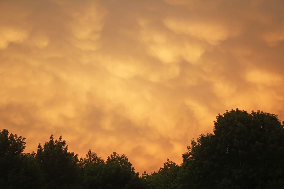 yellow, clouds, cloudscape, trees, nature, landscape, beautiful HD wallpaper