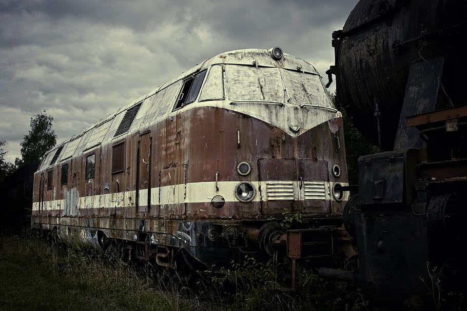 white and red train near green grass field under black sky HD wallpaper