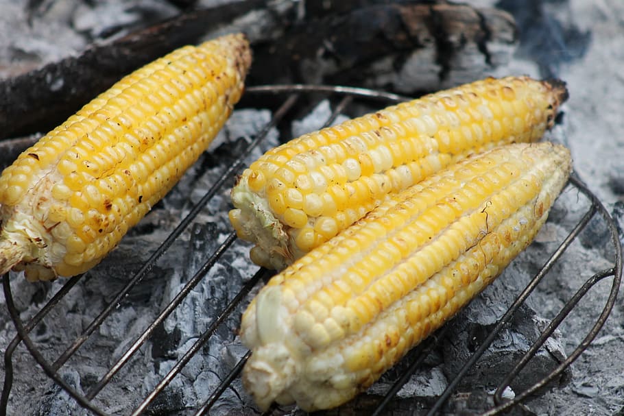 corn, cob, roast, food, vegetables, food and drink, yellow HD wallpaper