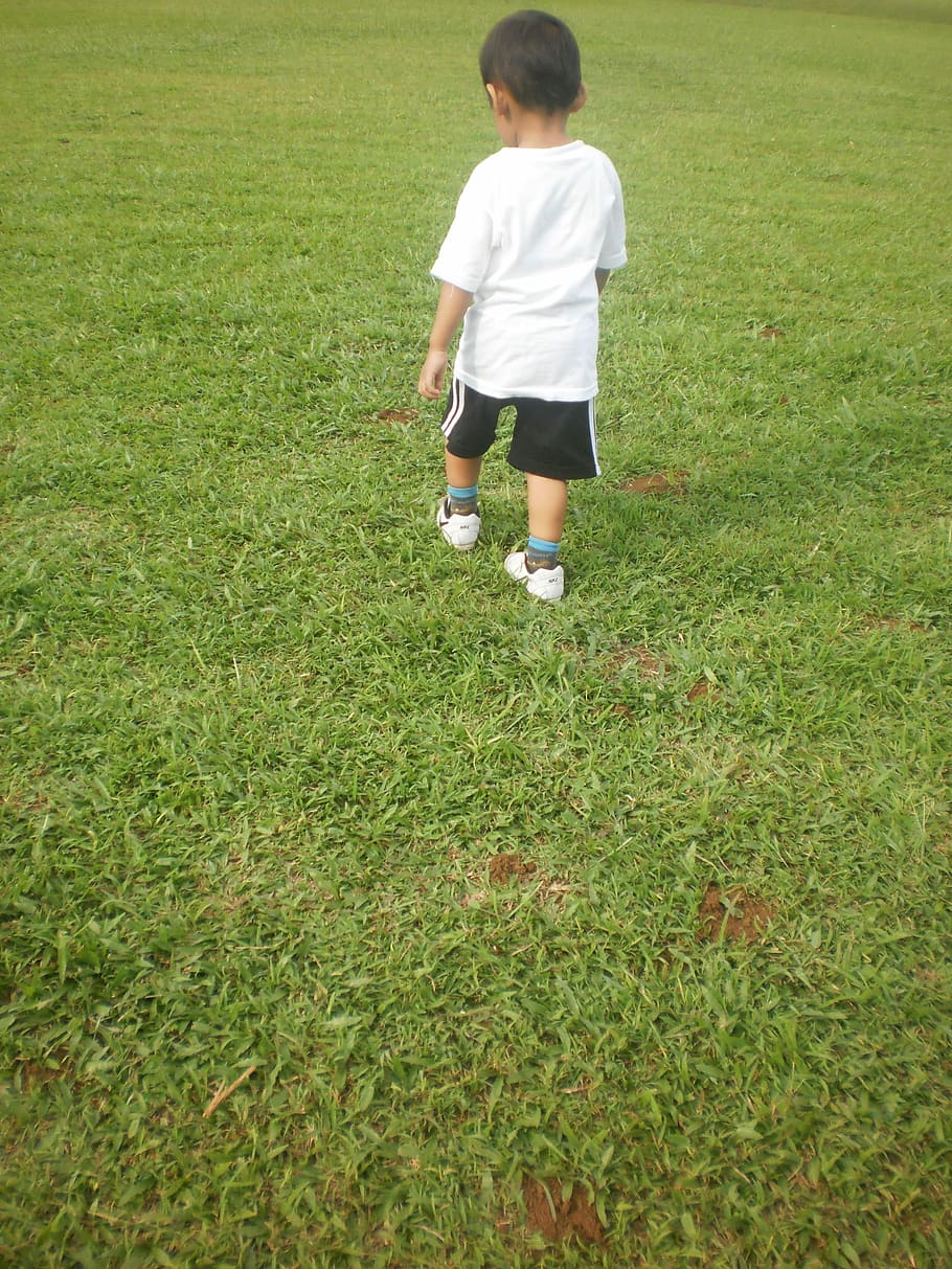 boy wearing white crew-neck t-shrt, Walking, Child, Lawn, Garden HD wallpaper