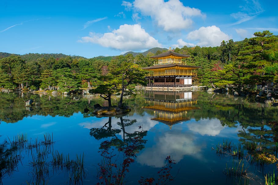 body of water and brown house, golden, pavilion, japan, kyoto