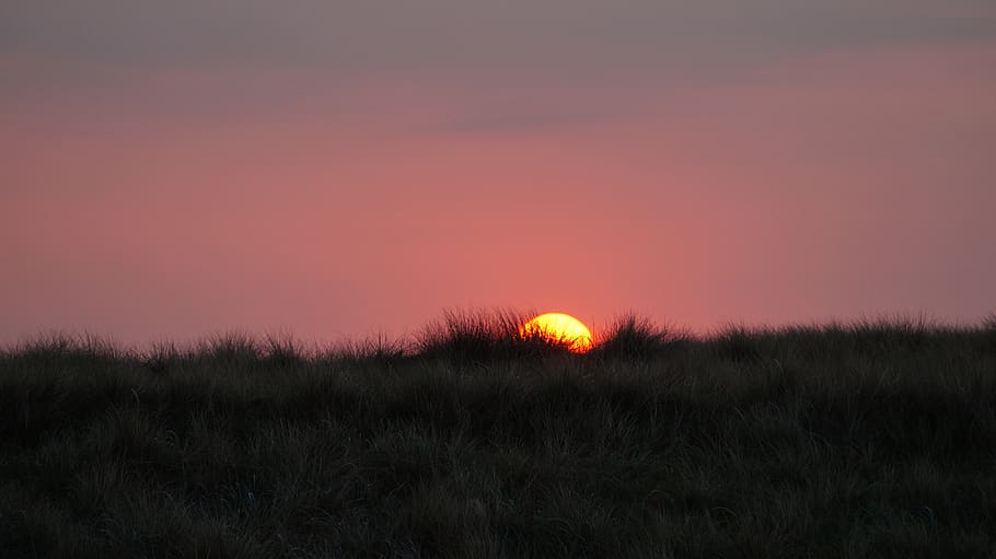 sun, sunset, twilight, sky, landscape, scenics - nature, beauty in nature HD wallpaper