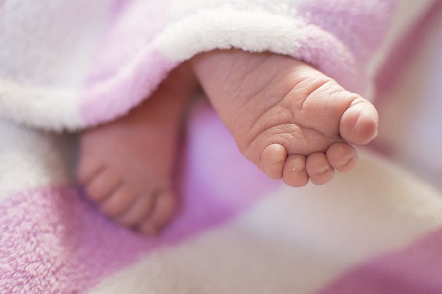 macro photography of baby's feet under pink blanket, newbie, infant, HD wallpaper