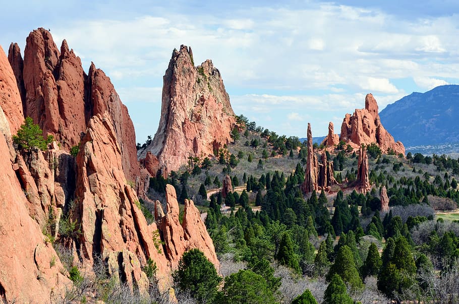 landscape photography of green trees, Red Rock State Park, Arizona HD wallpaper