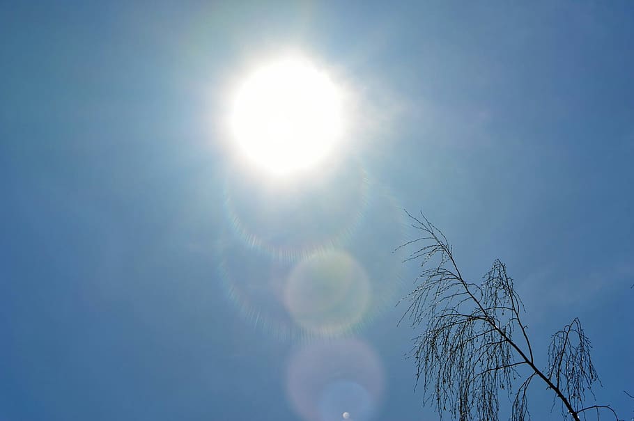 sun, sky, blue, rays, nature, tree, light, low angle view, sunlight HD wallpaper