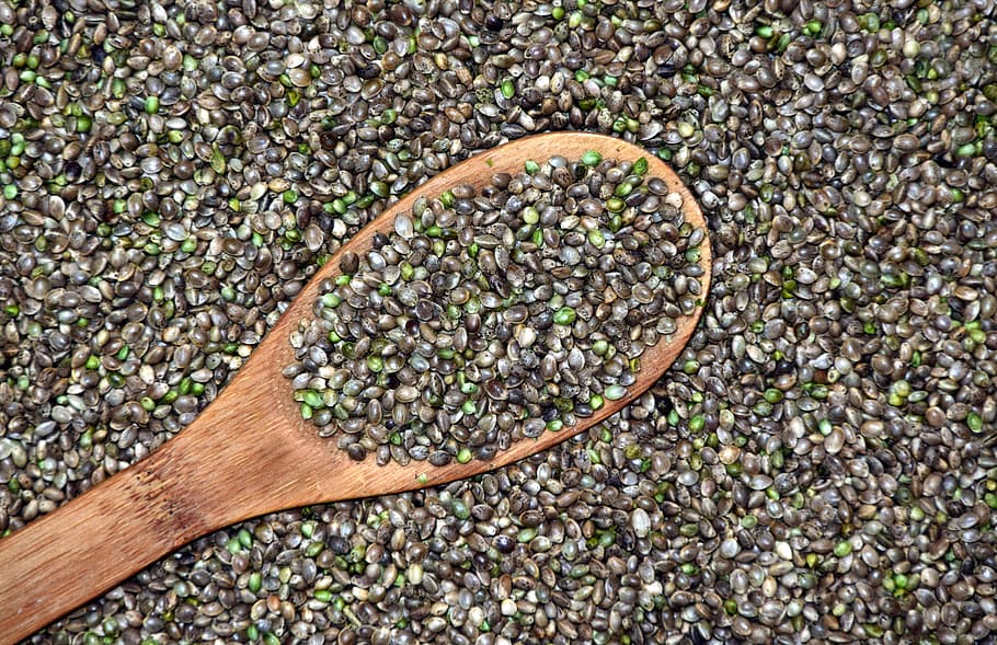 green beans on brown wooden ladle, hemp, cannabis seeds, grains