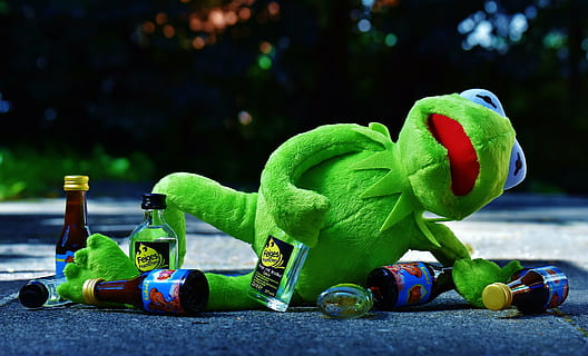kermit, frog, drink, alcohol, drunk, rest, sit, figure, funny HD wallpaper