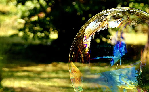 shallow focus photography of bubble, soap bubble, huge, large HD wallpaper
