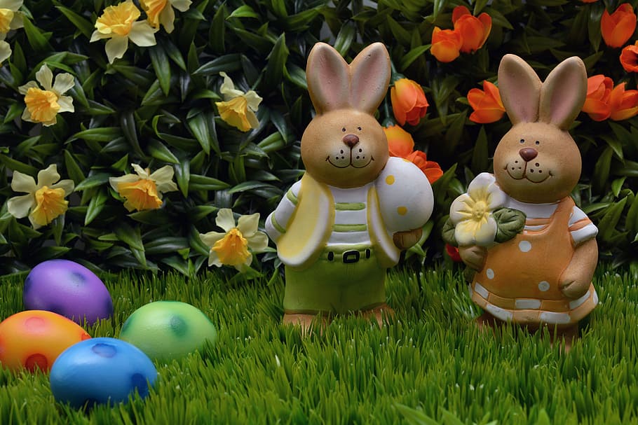 two bunny with Easter eggs on garden, easter bunny, rabbit, orange, HD wallpaper