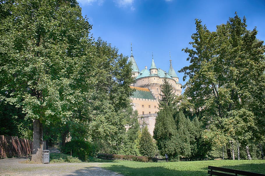 bojnice castle, slovakia, lock, tree, plant, architecture, built structure HD wallpaper