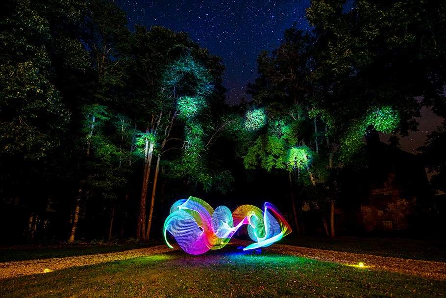 light writing photography in forest, asphalt road surrounded by green leafed trees HD wallpaper