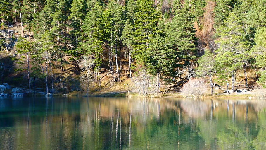 lake, landscape, nature, reflection, water, tree, fall, calm HD wallpaper