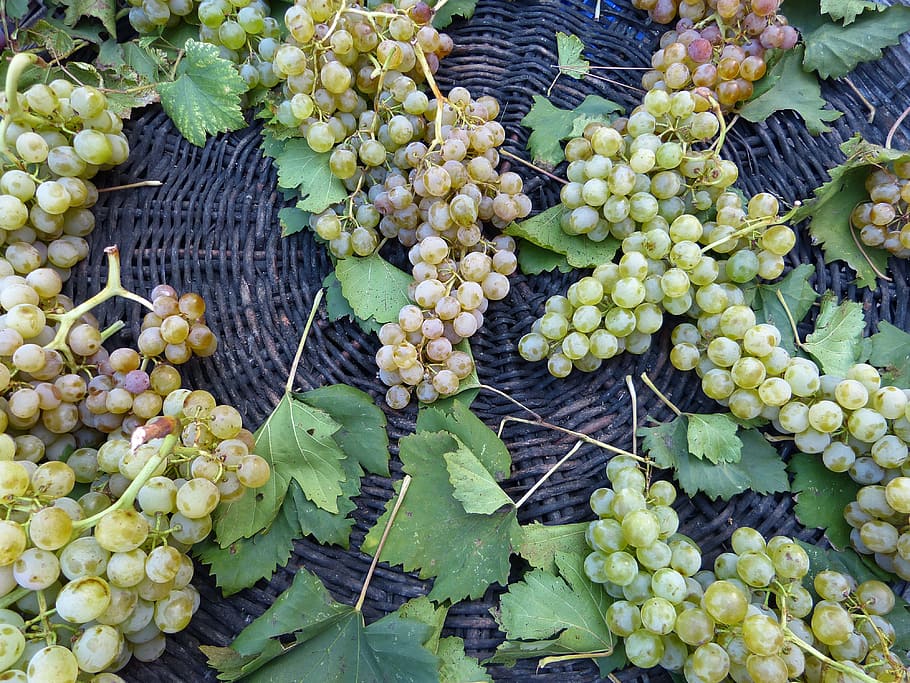 grapes, basket, eat, fruit, healthy eating, food and drink HD wallpaper