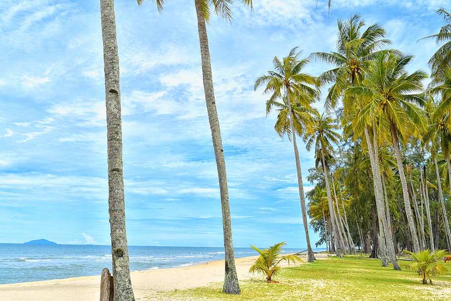 sea, landscape, nature, sky, beach, blue, clouds, coconut trees HD wallpaper