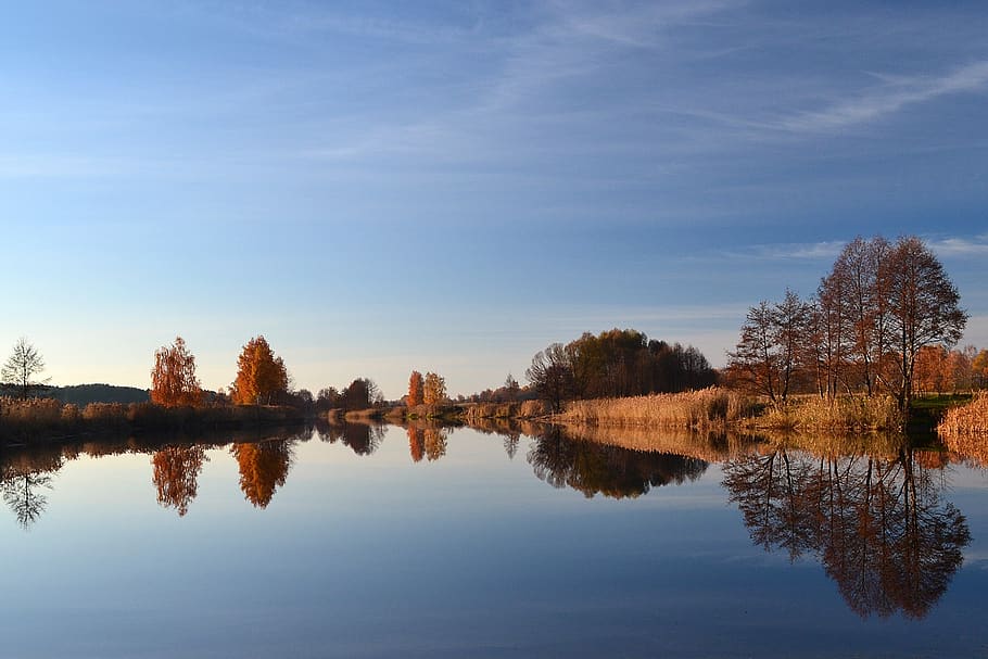 reflection, water, nature, lake, sky, tranquility, tree, tranquil scene HD wallpaper