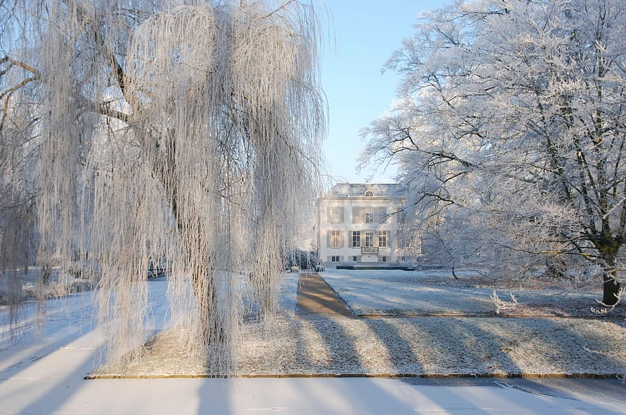 snow, ripe, winter, cold, house, manor, channel, ze, ice, park HD wallpaper