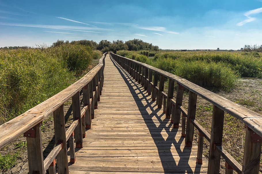 brown wooden dock under cloudy skies, gateway, path, shadow HD wallpaper