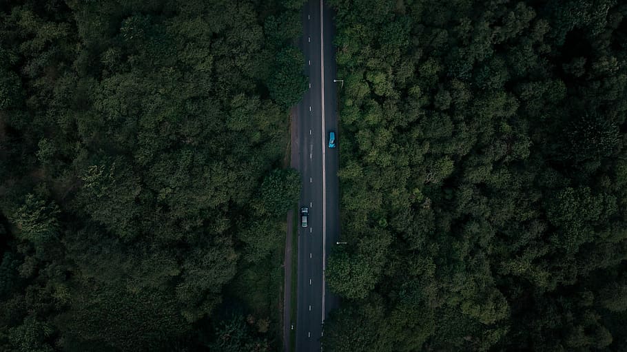 aerial view of road surrounded by trees, eagle eye view of road surrounded by trees HD wallpaper