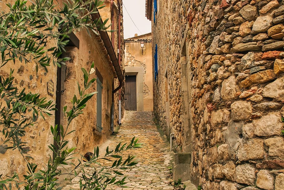 wall, old, tree, wood, architecture, stone, travel, building HD wallpaper