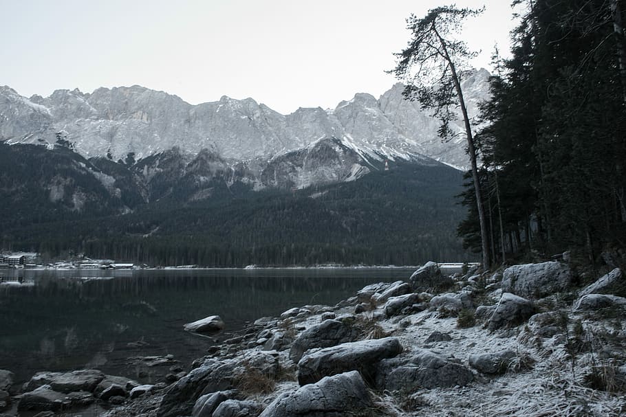 trees near body of water, lake surround by mountains and trees HD wallpaper