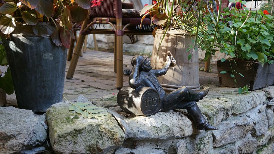 lviv, ukraine, statue, nature, sculpture, day, no people, plant HD wallpaper