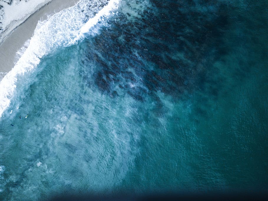 aerial photography of seashore, aerial photography of sea at daytime