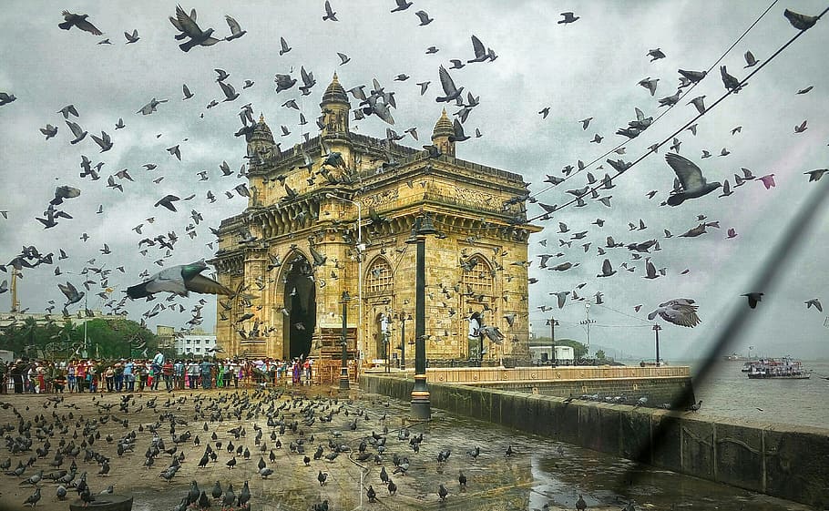 gateway, india, mumbai, people, architecture, built structure