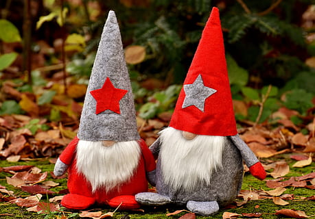 two gnomes on garden, imp, pair, figures, christmas, funny HD wallpaper
