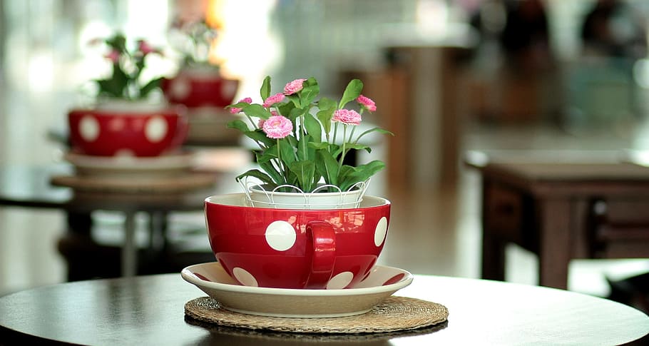 pink petaled flowers on red pot, hotchpotch, table, arrangement HD wallpaper